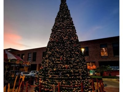 arbol arbol